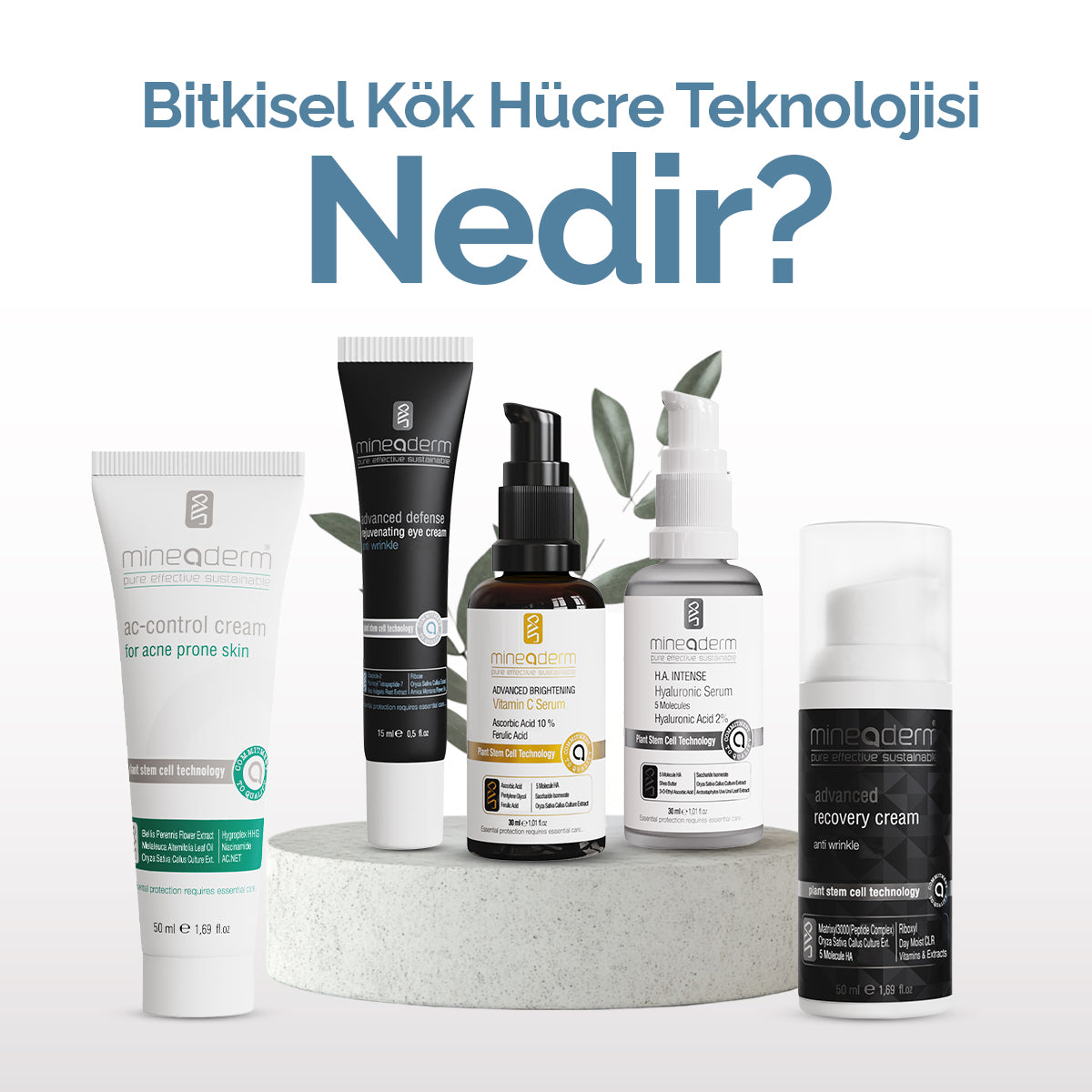 BİTKİSEL KÖK HÜCRE NEDİR? CİLDE FAYDALARI VE MİNEADERM YAKLAŞIMI