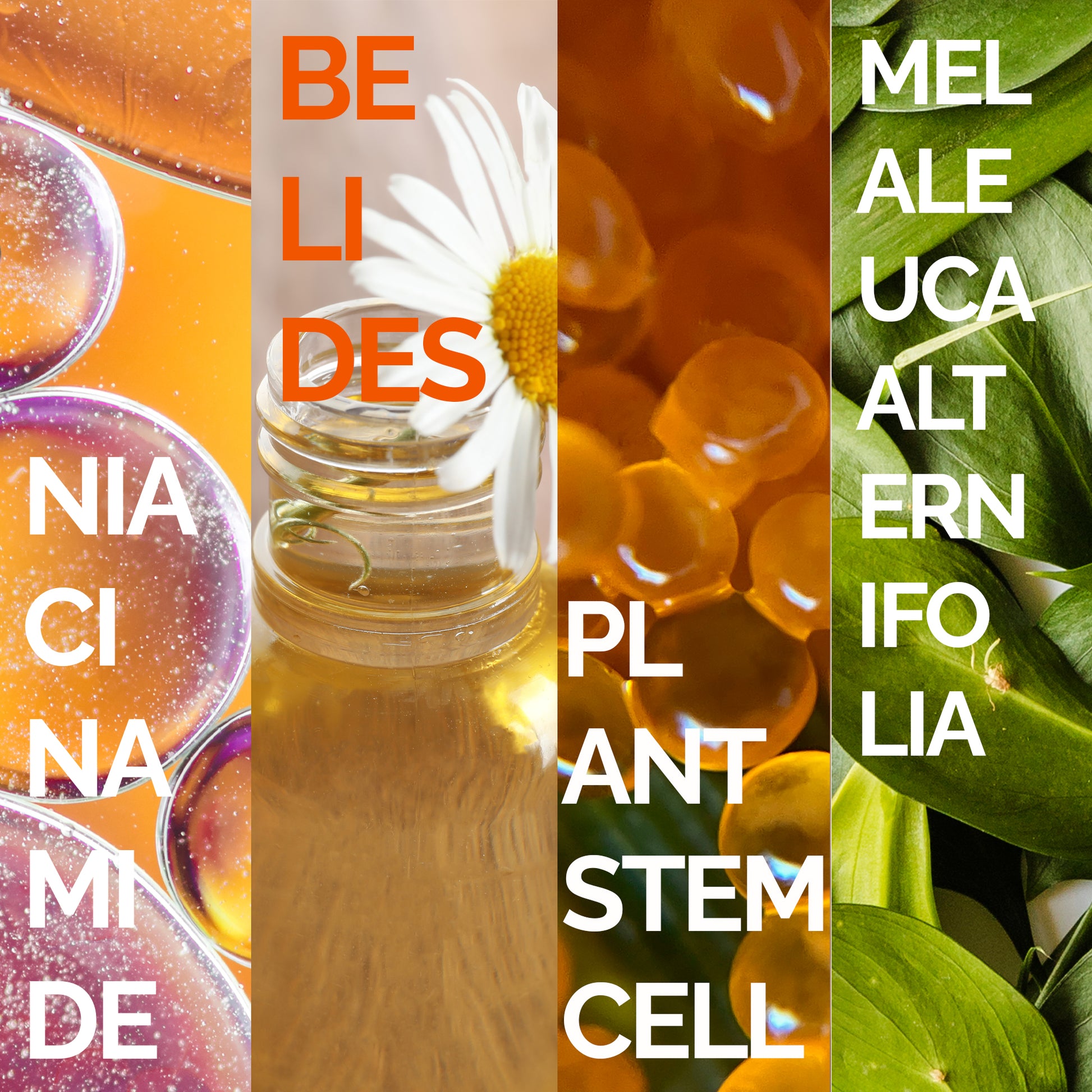 Mineaderm Sebum Dengeleyici Nemlendirici; 50 ml beyaz tüp ambalajda, yeşil detaylı krem. Cildin aşırı yağ salınımını dengelemeye yardımcı olur. Kurutmadan ve tahriş etmeden bakım sağlar, cildin doğal, pürüzsüz ve dengeli bir görünüme kavuşmasını destekler.