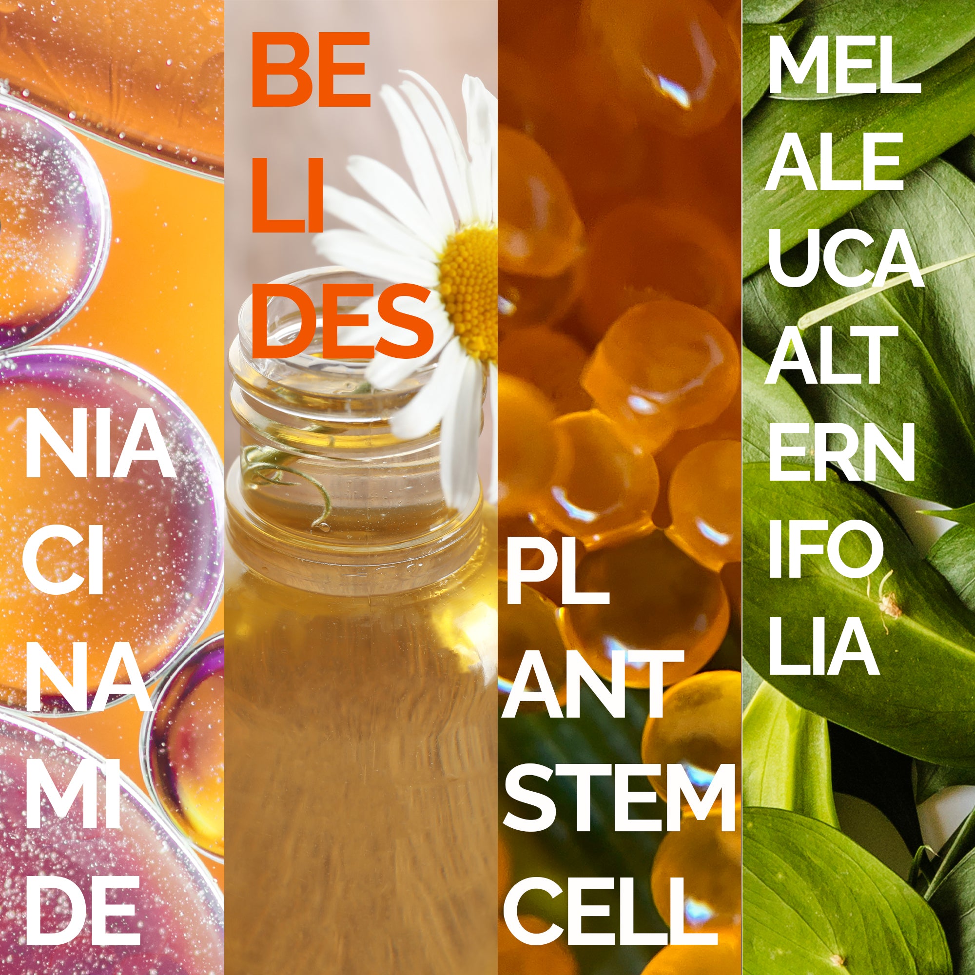 Mineaderm Sebum Dengeleyici Nemlendirici; 50 ml beyaz tüp ambalajda, yeşil detaylı krem. Cildin aşırı yağ salınımını dengelemeye yardımcı olur. Kurutmadan ve tahriş etmeden bakım sağlar, cildin doğal, pürüzsüz ve dengeli bir görünüme kavuşmasını destekler.