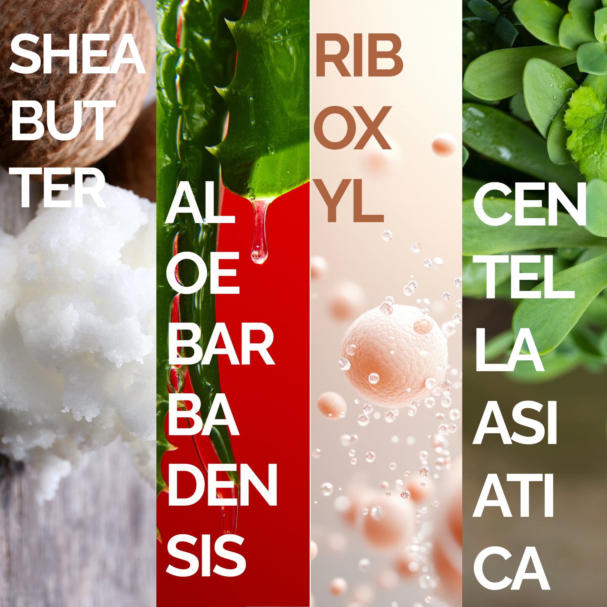Mineaderm Yaşlanma Karşıtı Sıkılaştırıcı Nemlendirici; 75 ml beyaz tüp ambalajda, mor detaylı el bakım kremi. Elleri yoğun şekilde nemlendirir ve besler, cildin daha canlı ve yumuşak görünmesine yardımcı olur. Yaşlanma belirtilerine karşı korumayı destekler, daha pürüzsüz ve sağlıklı bir görünüm kazandırır.