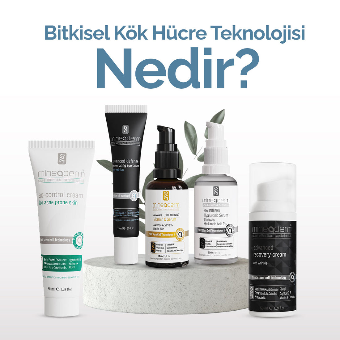 BİTKİSEL KÖK HÜCRE NEDİR? CİLDE FAYDALARI VE MİNEADERM YAKLAŞIMI