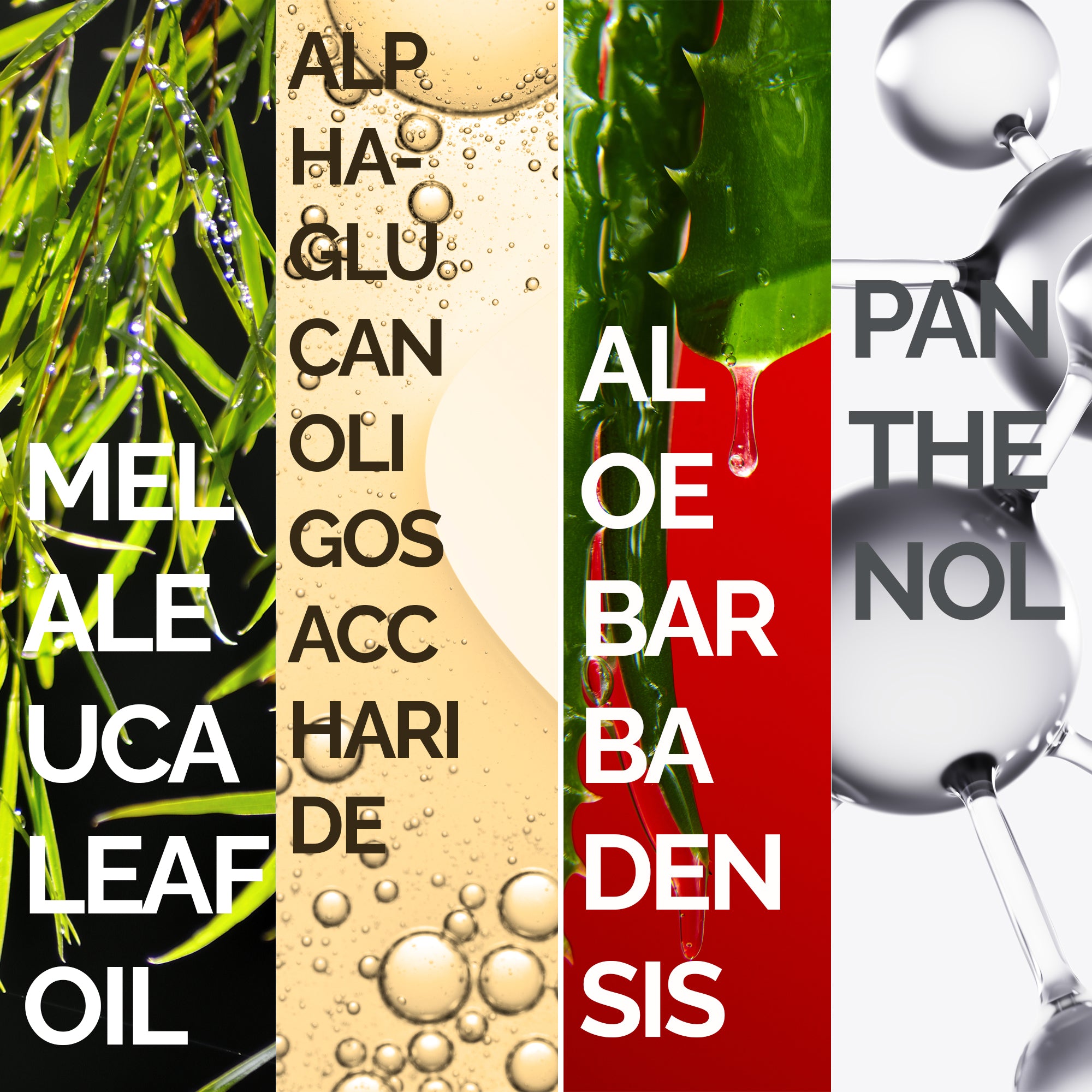 TEA TREE FACE AND BODY WASH