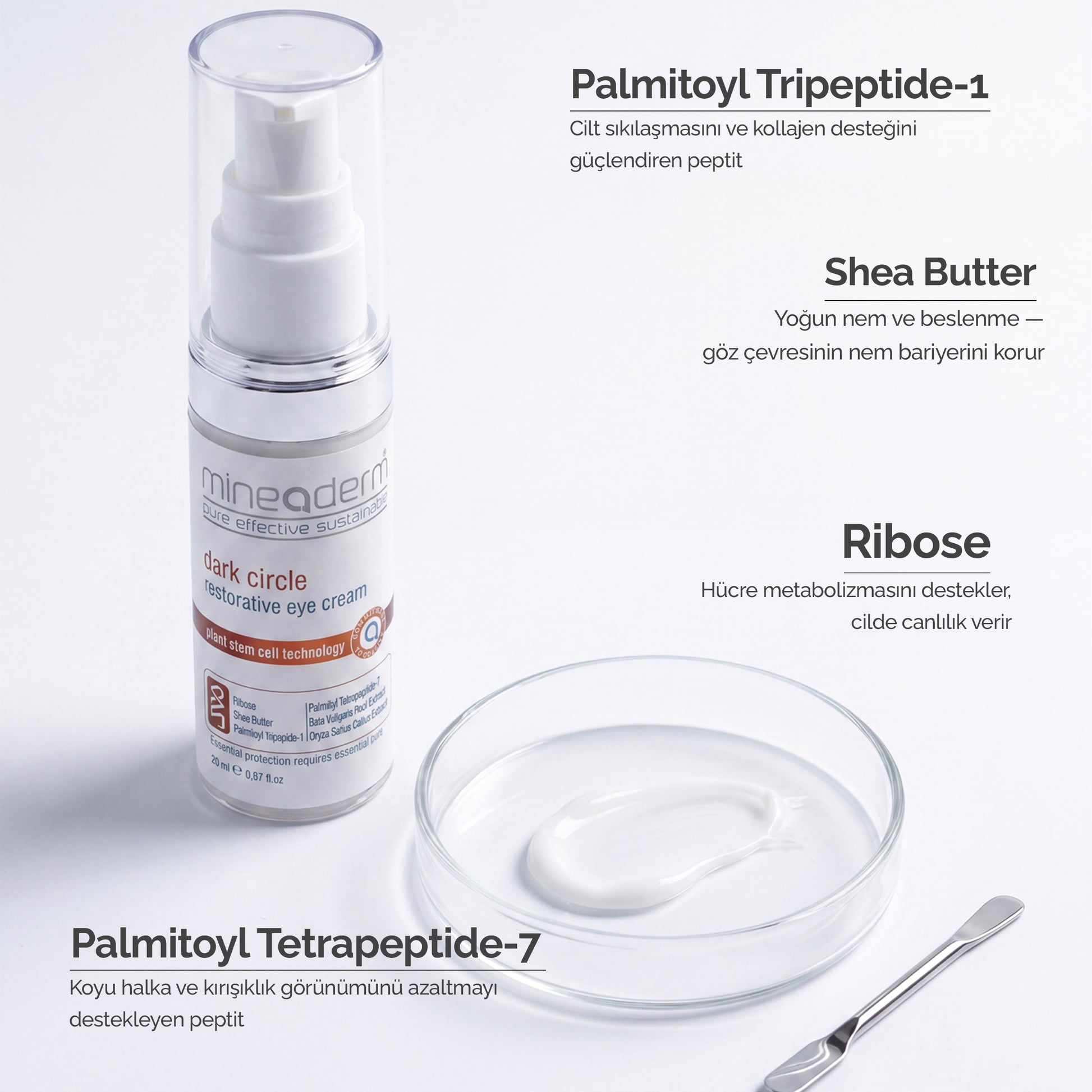 Mineaderm Dark Circle göz kreminin içerik görseli: Palmitoyl Tripeptide-1, Shea Butter, Ribose ve Palmitoyl Tetrapeptide-7 etken maddeleri ve göz çevresine faydaları.