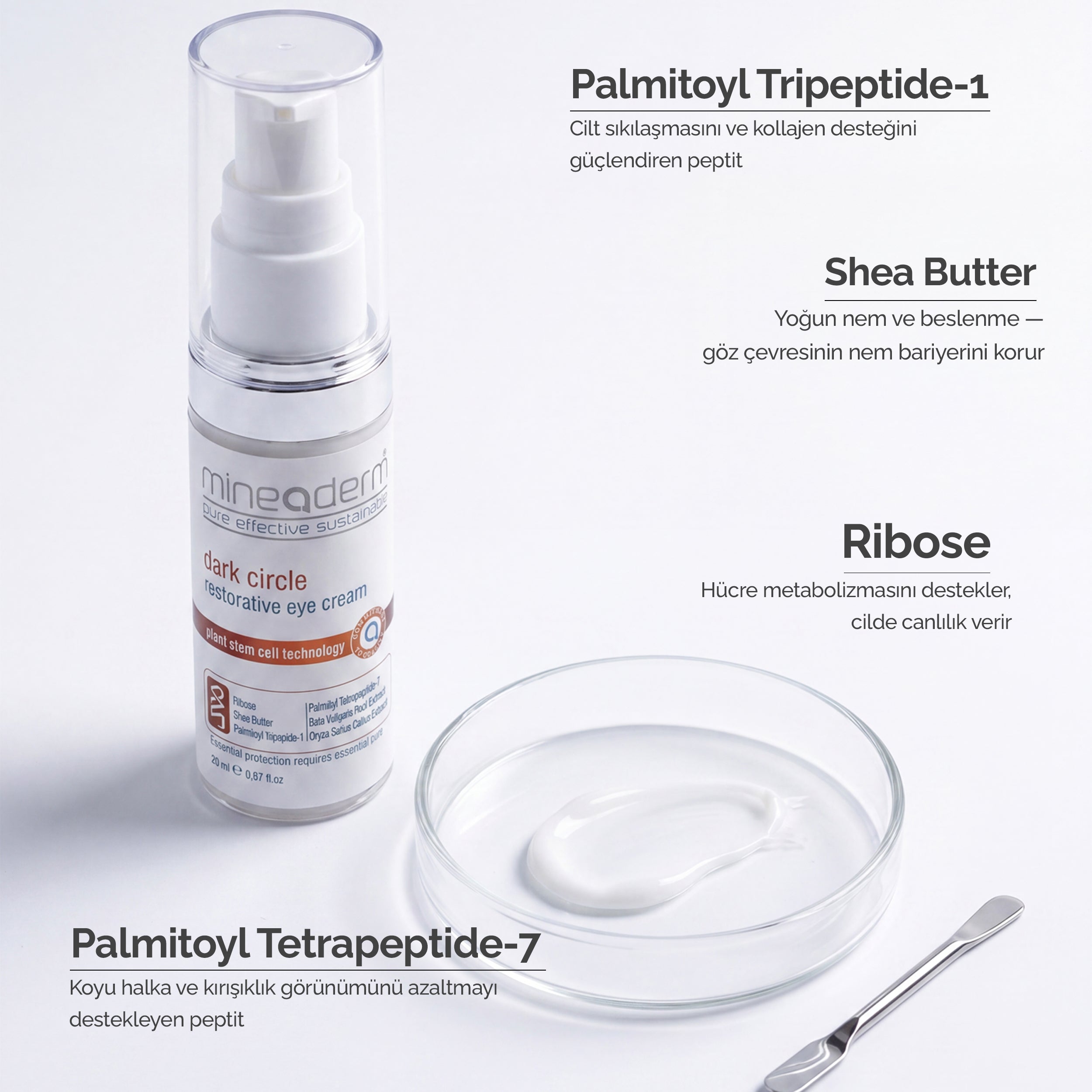 Mineaderm Dark Circle göz kreminin içerik görseli: Palmitoyl Tripeptide-1, Shea Butter, Ribose ve Palmitoyl Tetrapeptide-7 etken maddeleri ve göz çevresine faydaları.