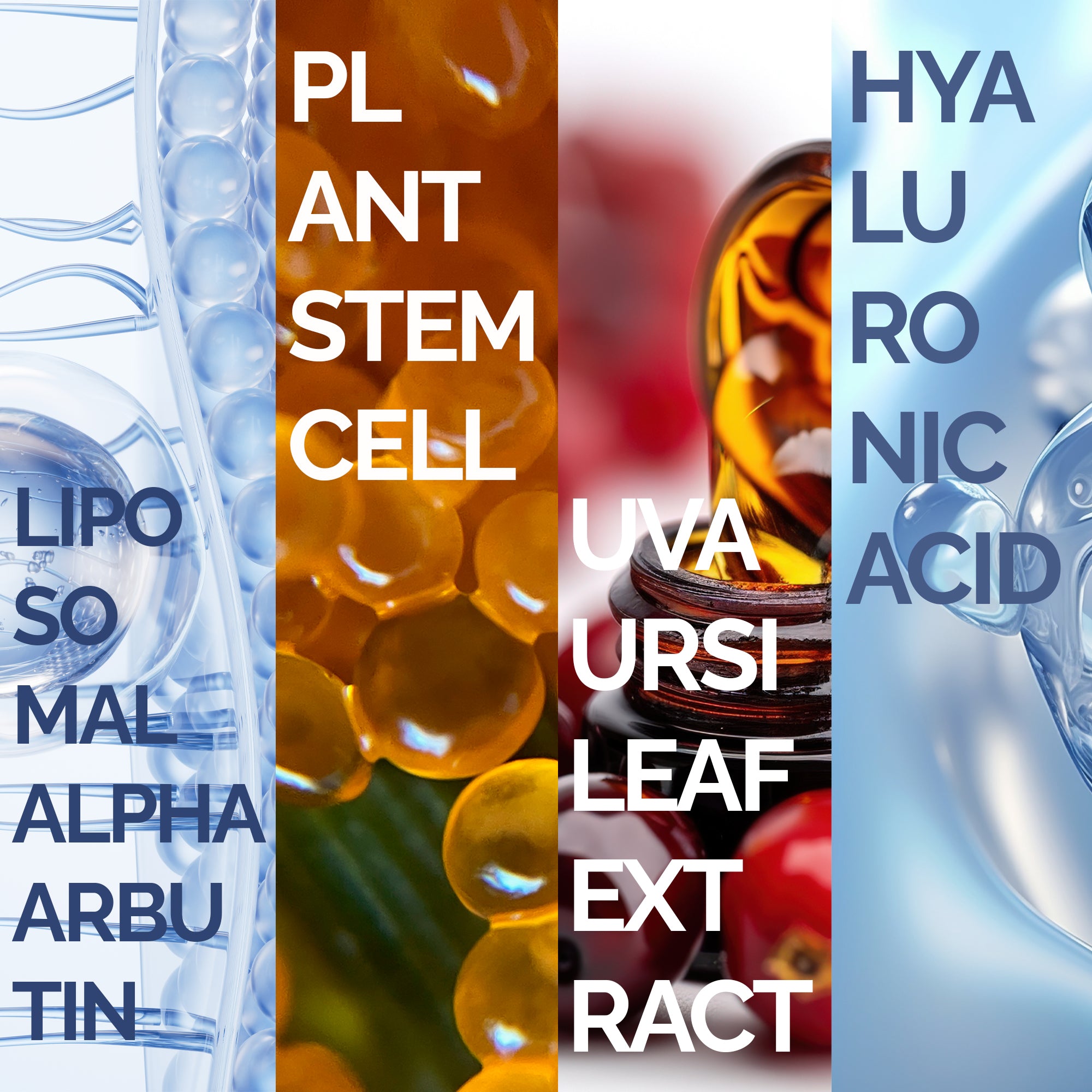 LIPOSOMAL ARBUTIN SERUM