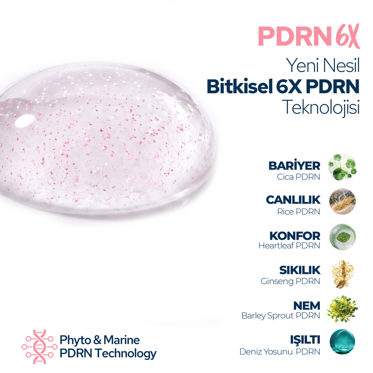 PDRN 6X Serum 30 ml – Pürüzsüzlük, Dolgun Görünüm, Işılt, Eşit Ton Görünümü