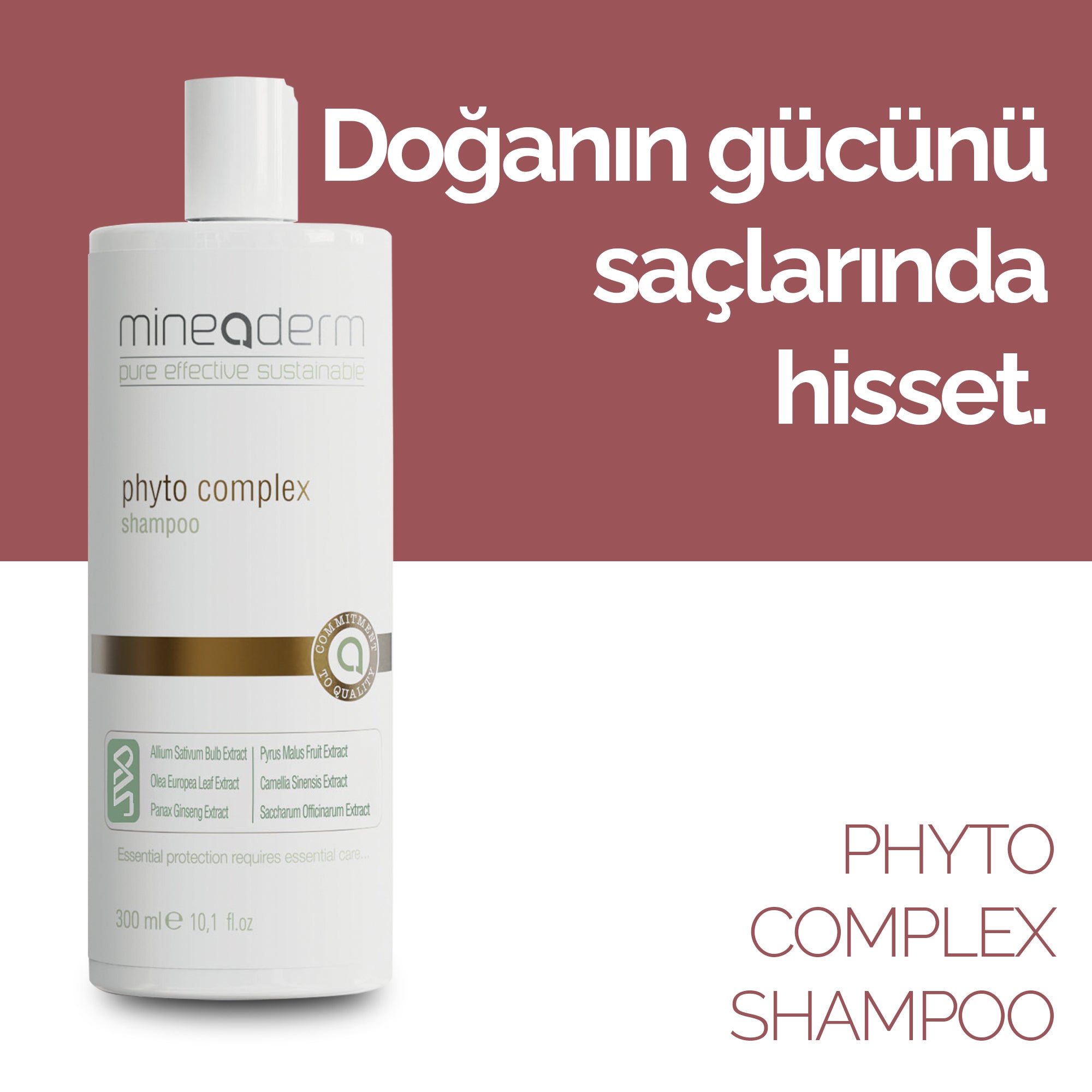 PHYTO COMPLEX SHAMPOO