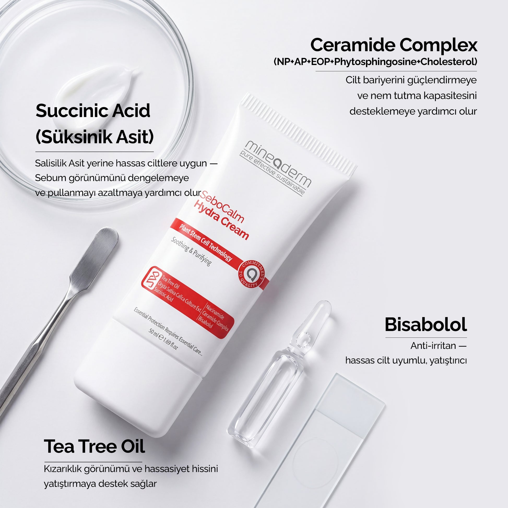 Mineaderm SeboCalm Hydra Cream'in içerik görseli: Süksinik Asit, Ceramide Complex, Bisabolol ve Tea Tree Oil etken maddeleri ve cilde faydaları.