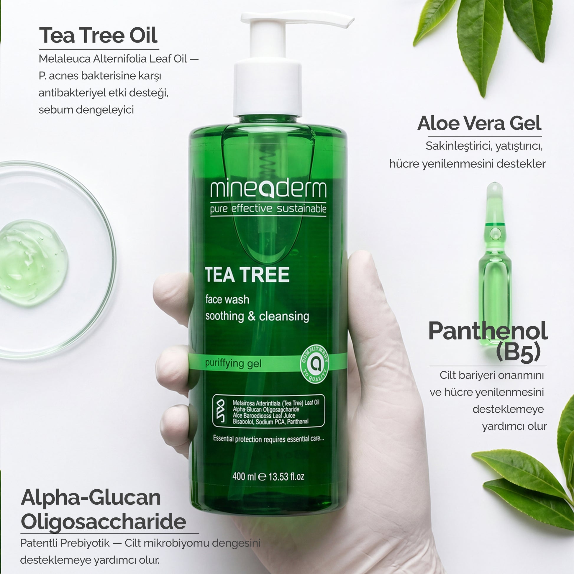 Mineaderm Tea Tree Face Wash 400 ml'in içerik görseli: Tea Tree Oil, Aloe Vera Gel, Panthenol (B5) ve Alpha-Glucan Oligosaccharide prebiyotik etken maddeleri.